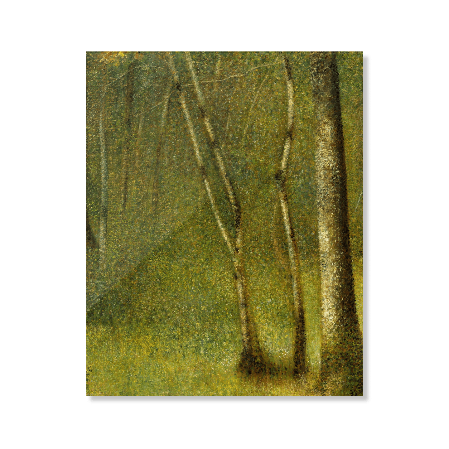 퐁토베르의 숲
