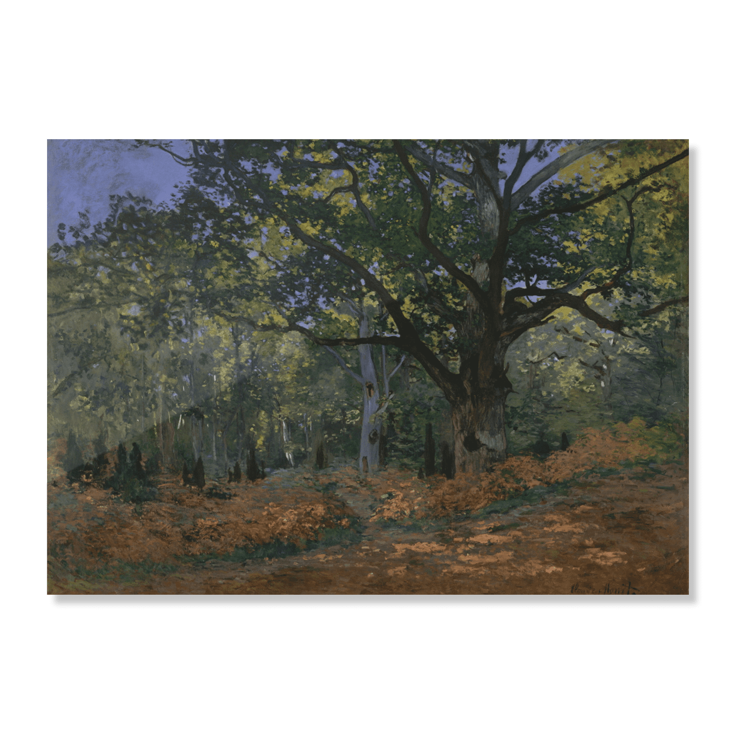 퐁텐블로 숲